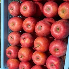 りんご 各種 発送対応 お問い合わせください。