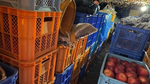 りんご 各種 発送対応 お問い合わせください。