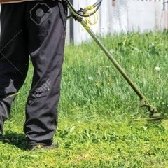 草刈可能な方求む！の画像