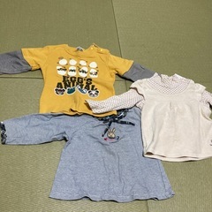 トレーナー95センチの画像