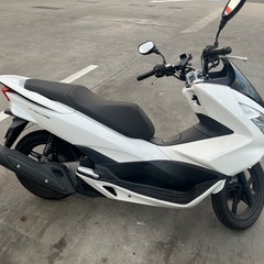 【低走行】PCX125の画像