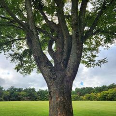 一回死んで、価値観をぶち壊す。-僧侶が教える 臨死体験から…