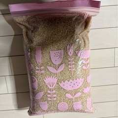 広島県神石高原町産コシヒカリ令和6年産玄米約5キロの画像