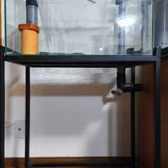 水槽セットの画像