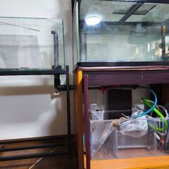 水槽セットの画像