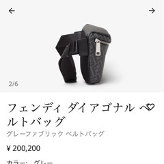 フェンディ ダイアゴナル ベルトバッグ　2日間の掲載の画像