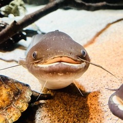 求む、無趣味の方々。(追記を追加しました12\11)