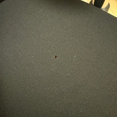 サンワ　チェアーの画像