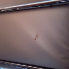 【2人掛けソファ】ホワイト／分解可能タイプの画像