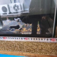 水槽　サイズ　W30cm×D30cm×H40cmの画像