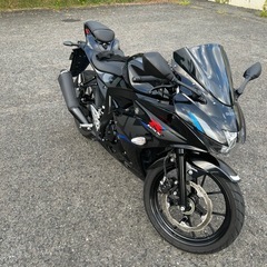 スズキ　GSXR125の画像