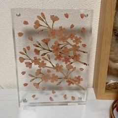 プレゼント インテリア　フレーム　アクリル　お花  誕生日　クリスマスの画像