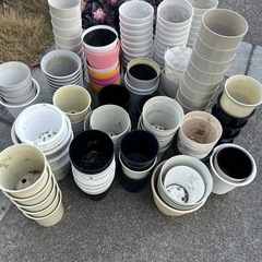 プラ鉢たくさんの画像