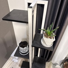 植物置きの画像