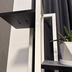 植物置きの画像