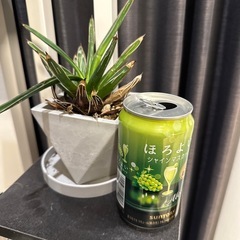 植木鉢　中身付きの画像