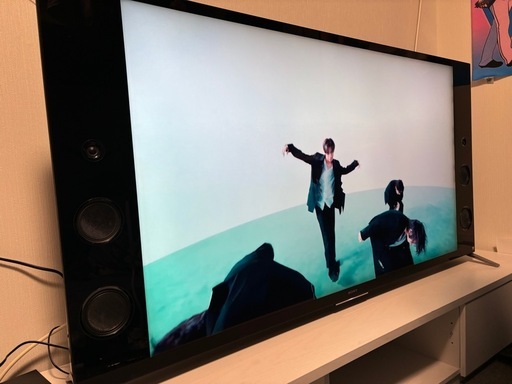 ソニー BRAVIA テレビ 55型