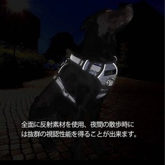 ハーネス　Sの画像