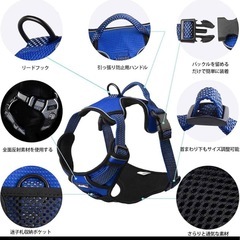 ハーネス　Sの画像