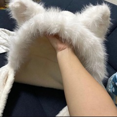 マフラーの画像