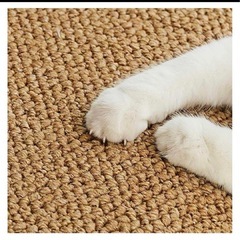 爪とぎ　
の画像