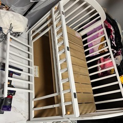 ベビーベット（KATOJI）の画像