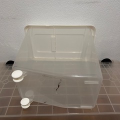 お米　入れ物　10kgの画像