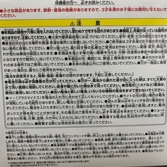 ワンピース サボ ルームライト・火拳 (ヒケン)の画像