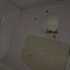 電子レンジの画像