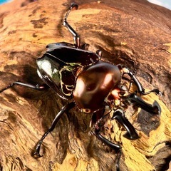 魅惑の琥珀色💋特大級の親ニジイロクワガタ　幼虫の画像