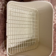 うさぎのトイレの画像