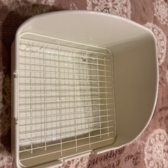 うさぎのトイレの画像