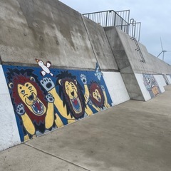 ハーレーで一緒に走りませんか　初心者歓迎 - 我孫子市