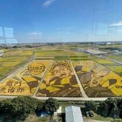 ハーレーで一緒に走りませんか　初心者歓迎