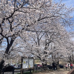 ハーレーで一緒に走りませんか　初心者歓迎 - 友達