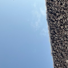 LEVI'S リーバイス  ロゴ入り ミラー 鏡 レトロの画像