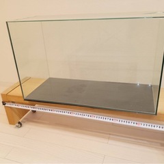 オールガラス水槽　60センチ　水槽の画像