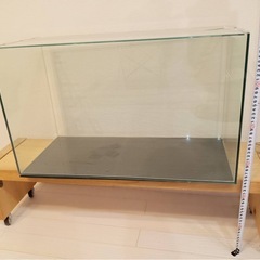 オールガラス水槽　60センチ　水槽の画像