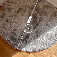 無料中古円形カーペットの画像