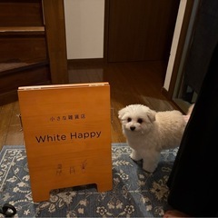 【雑貨店 アルバイト・パートスタッフ募集】週1日　雑貨店運営の簡単なお手伝いの画像