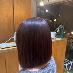 12月18日木曜日19:00〜ボブ無料カット