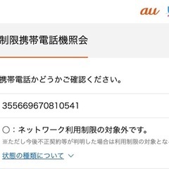 おまけ多数　iPad 9th Wi-Fiセルラーモデル　256GB シルバーの画像
