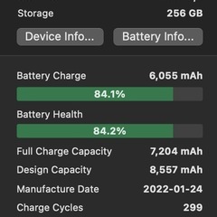 おまけ多数　iPad 9th Wi-Fiセルラーモデル　256GB シルバーの画像