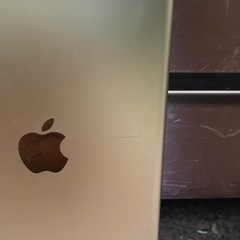 (いきなりの値下げ交渉はスルーします)iPadmini3(WiFi＋セルラーモデル)の画像