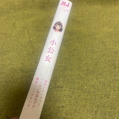 児童書　小公女の画像