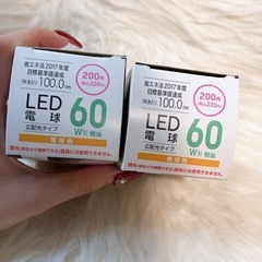 LED電球 2個セットの画像