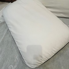 大きめマクラ2個の画像