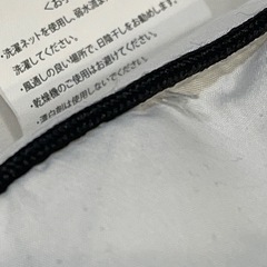 大きめマクラ2個の画像