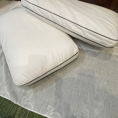 大きめマクラ2個の画像