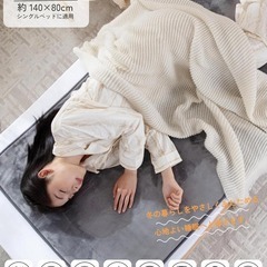 電気毛布❣️敷き 洗える 140×80cm 8段階温度 4段タイマー 速暖 節電の画像